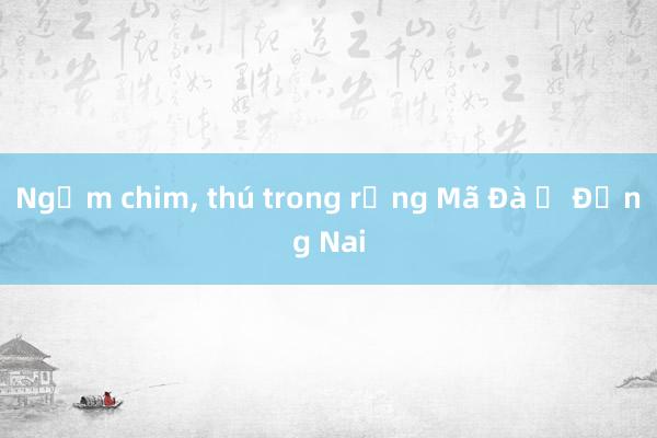 Ngắm chim， thú trong rừng Mã Đà ở Đồng Nai