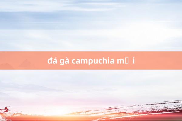 đá gà campuchia mới