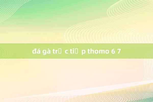 đá gà trực tiếp thomo 6 7