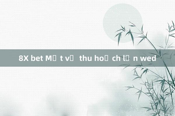 8X bet Một vụ thu hoạch lớn wed