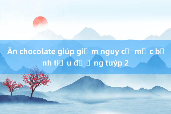 Ăn chocolate giúp giảm nguy cơ mắc bệnh tiểu đường tuýp 2