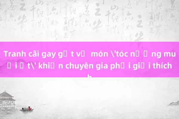 Tranh cãi gay gắt về món 'tóc nướng muối ớt' khiến chuyên gia phải giải thích