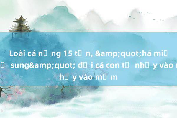 Loài cá nặng 15 tấn, &quot;há miệng chờ sung&quot; đợi cá con tự nhảy vào mồm