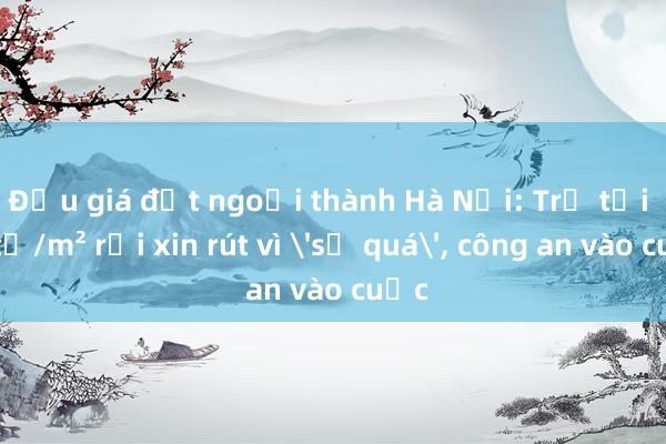 Đấu giá đất ngoại thành Hà Nội: Trả tới 30 tỉ/m² rồi xin rút vì 'sợ quá', công an vào cuộc